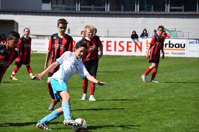 在开局阶段 在开局阶段