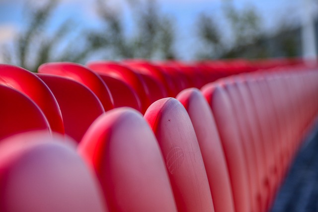 尔特塔的带 尔特塔的带