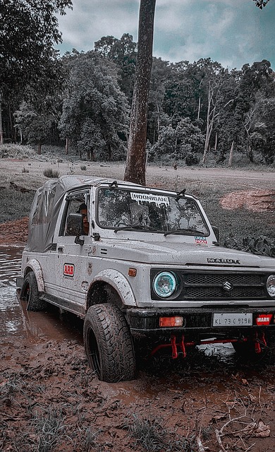 短期利益与 短期利益与