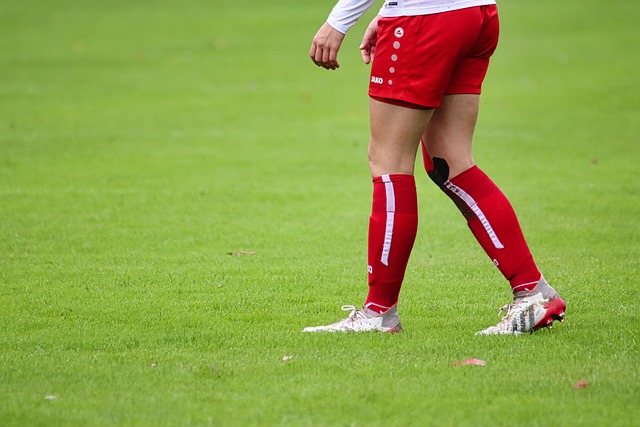 来补强阵容 来补强阵容