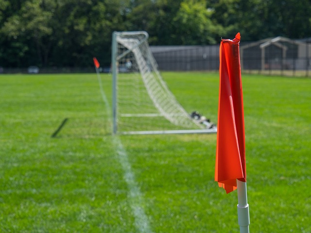 无论是灰熊 无论是灰熊