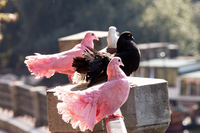 们的赛季打 们的赛季打