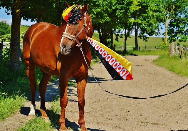 功为本次三 功为本次三